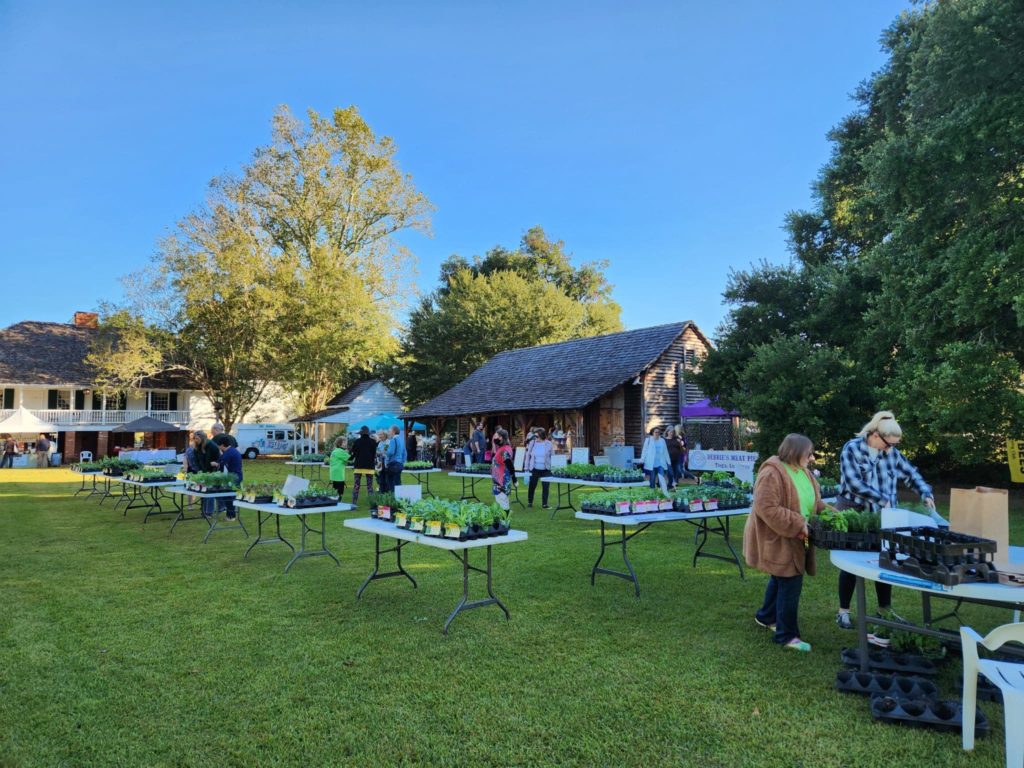 Kent Plantation House Sugar Day Festival