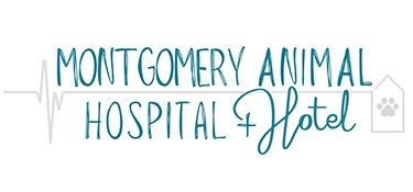 , Community Heart Project